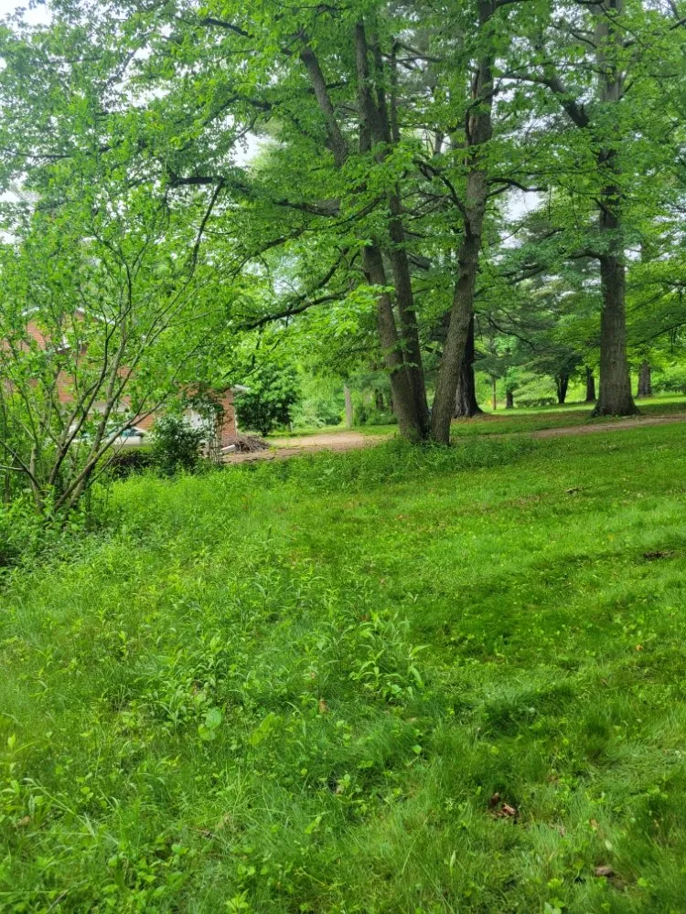 Professional lawn care service in Campbell, OH - HRM Lawn Service and Snowplowing