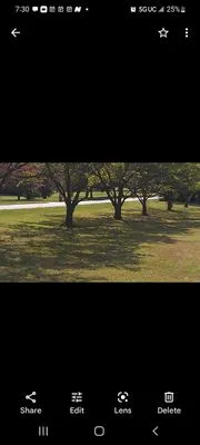 HRM Lawn Service and Snowplowing