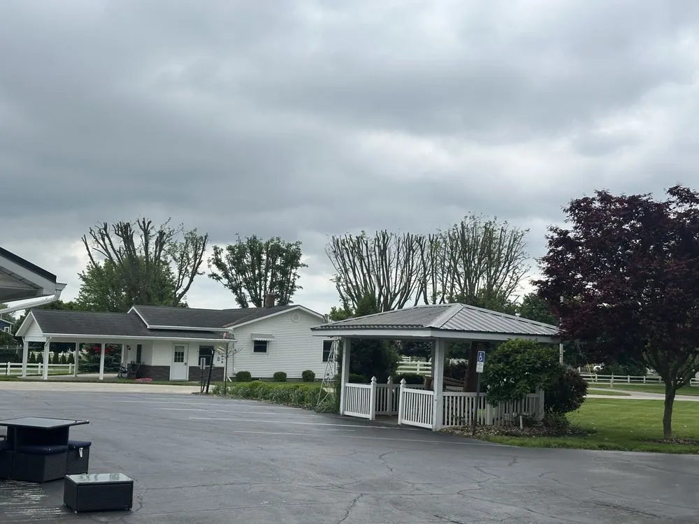 Custom yard cleanup service in Berrien Springs, MI - HRM Tree Service