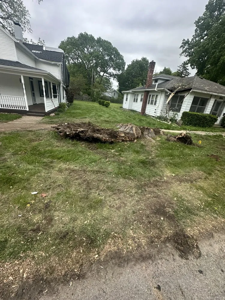 Professional yard cleanup service in Berrien Springs, MI by HRM Tree Service