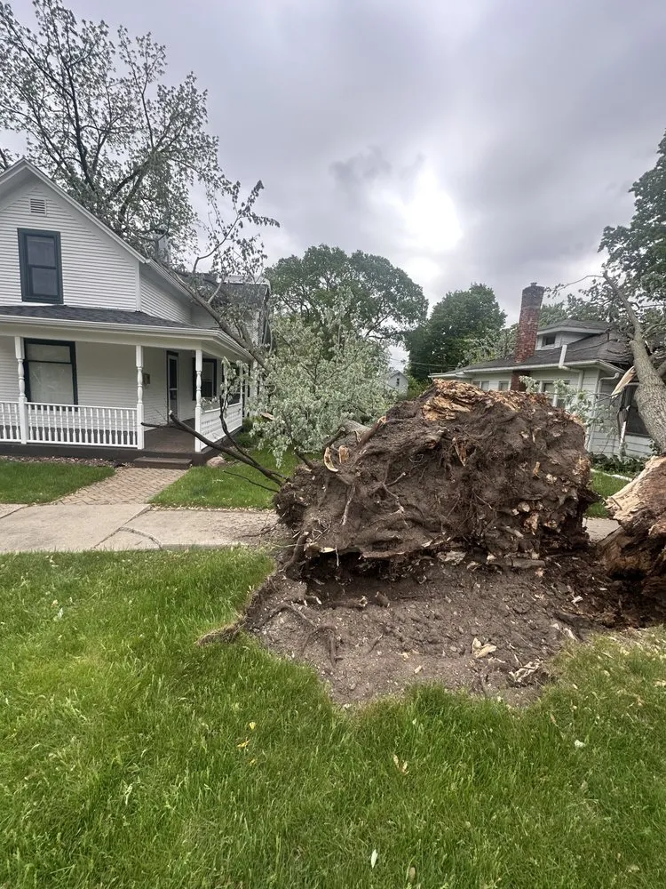 Reliable landscape design in Berrien Springs, MI by HRM Tree Service