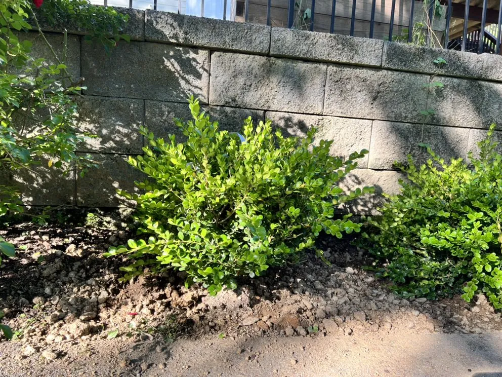 Local outdoor landscaping for homes across Silver Spring, MD - HRO Landscaping