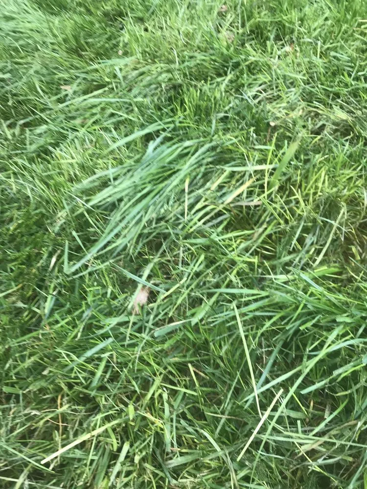 Trusted outdoor landscaping in Leesburg, VA by Hrs Complete