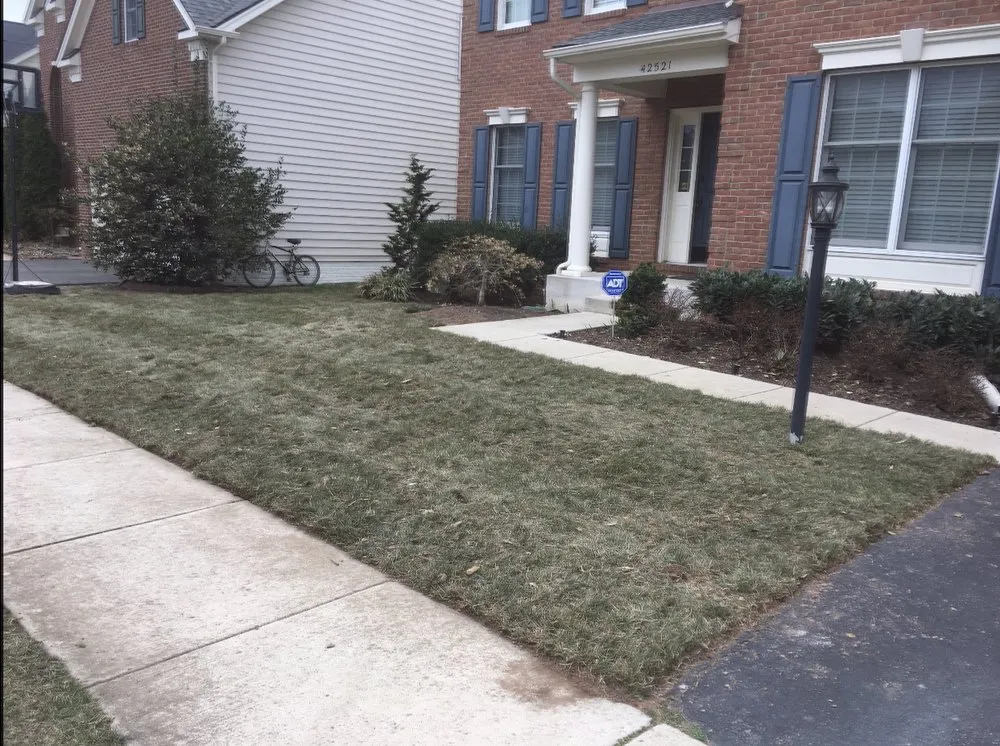 Custom landscaping services in Leesburg, VA - Hrs Complete