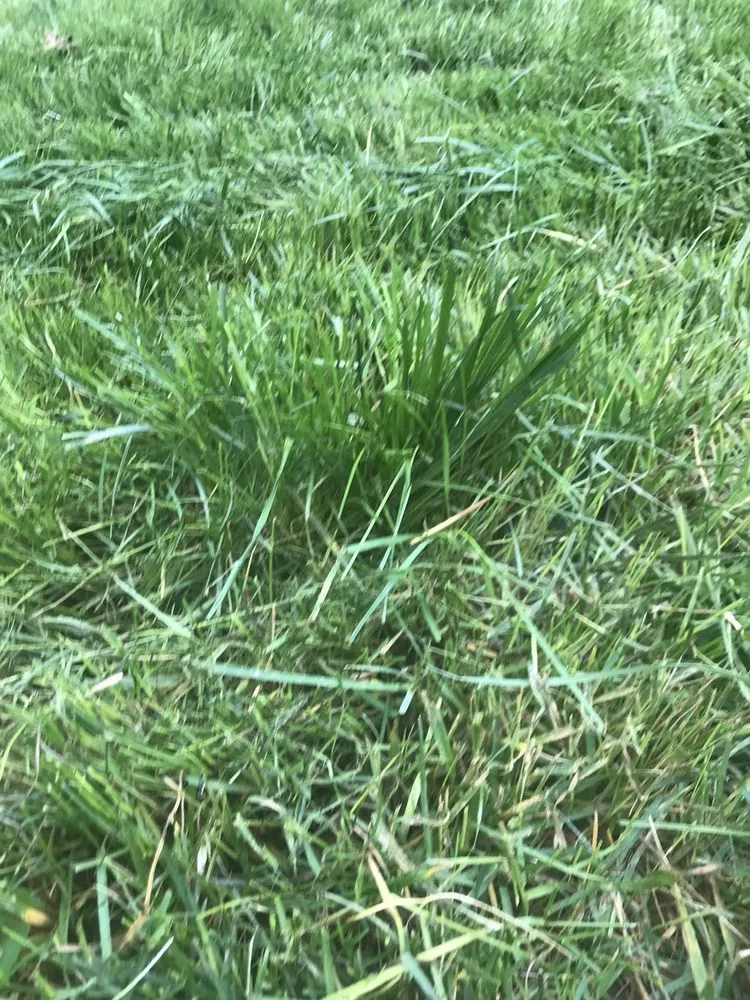 Top-rated landscape installation with custom design in Leesburg, VA by Hrs Complete