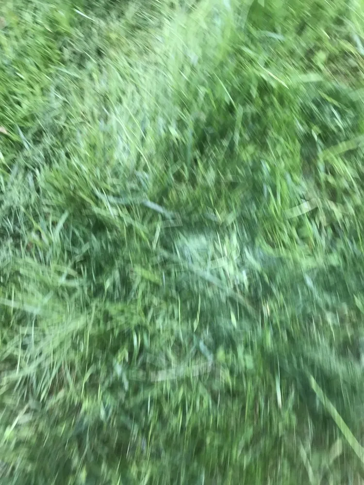 Reliable landscaping services in Leesburg, VA - Hrs Complete