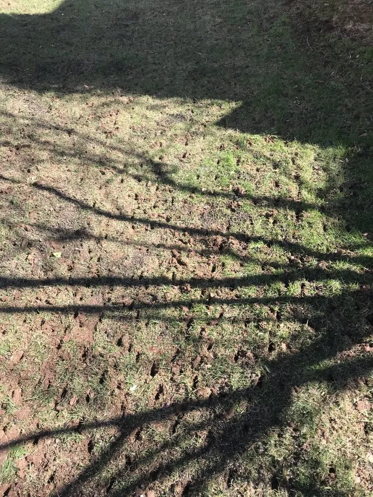 Affordable landscape design experts serving Leesburg, VA - Hrs Complete