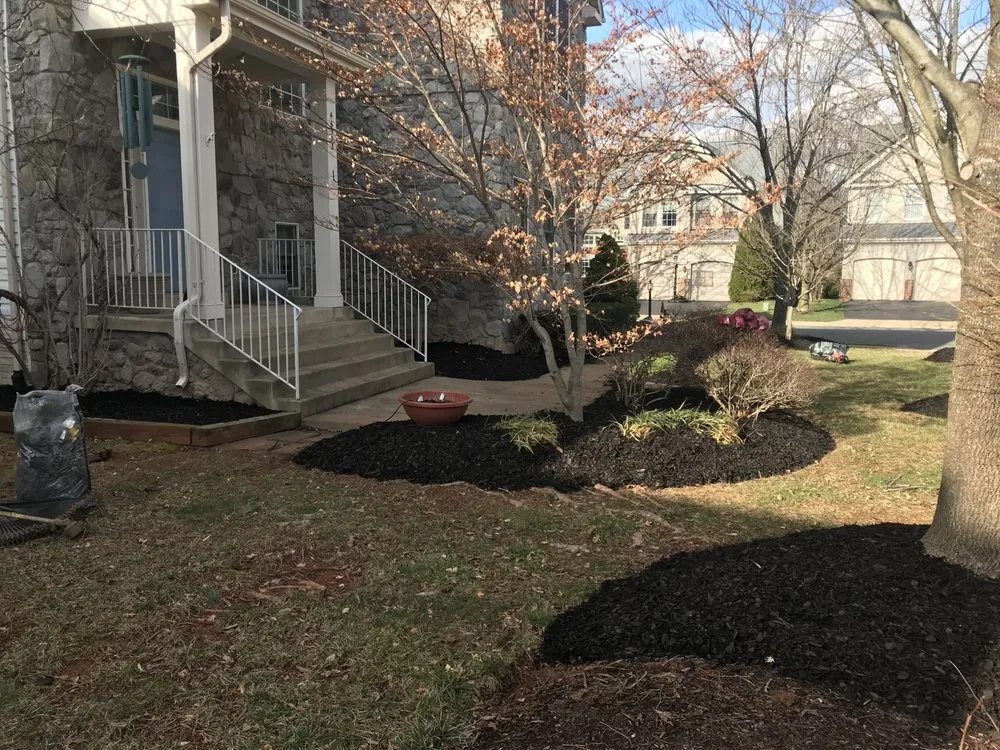 Affordable yard cleanup service in Leesburg, VA - Hrs Complete