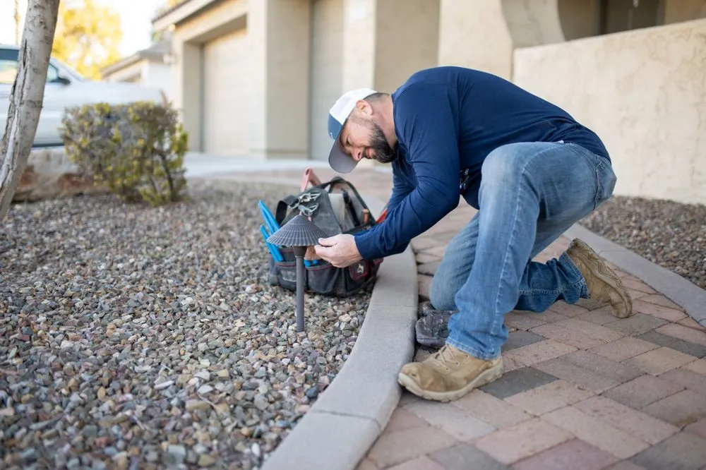 Affordable yard cleanup service with custom design in Peoria, AZ by HS Irrigation and Landscape Lighting