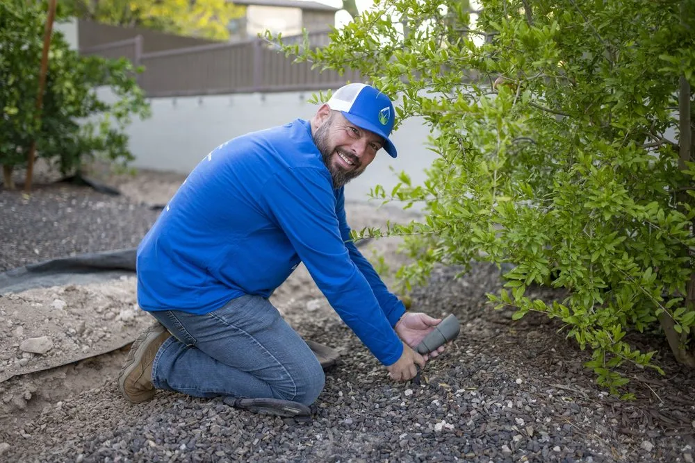 Affordable lawn mowing service near you across Peoria, AZ - HS Irrigation and Landscape Lighting