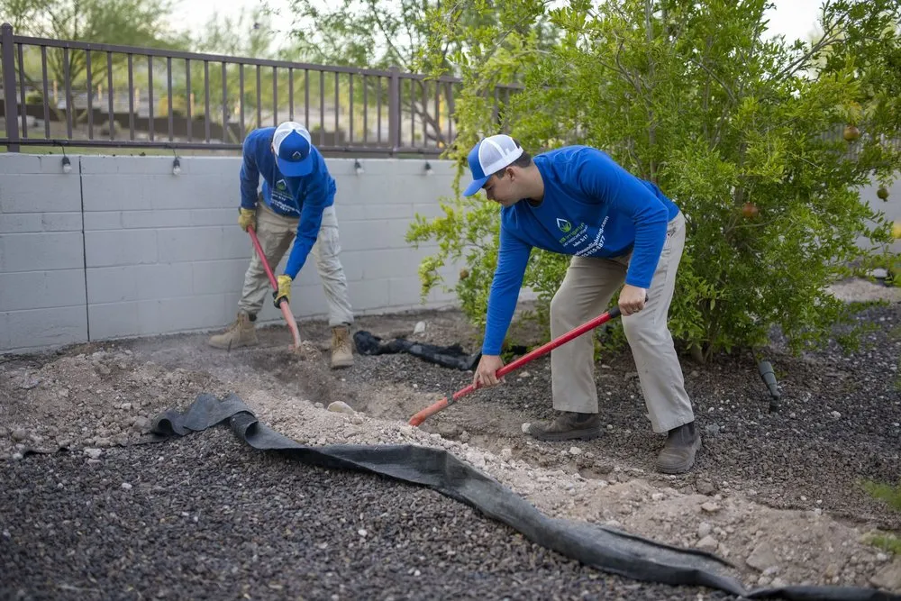 Affordable lawn mowing service in Peoria, AZ - HS Irrigation and Landscape Lighting