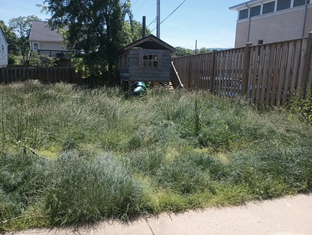 Top-rated landscaping services in Brunswick, MD by H&S Landscape &Turf