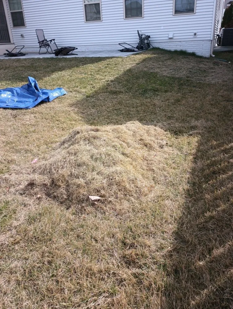 Custom outdoor landscaping experts serving Brunswick, MD - H&S Landscape &Turf