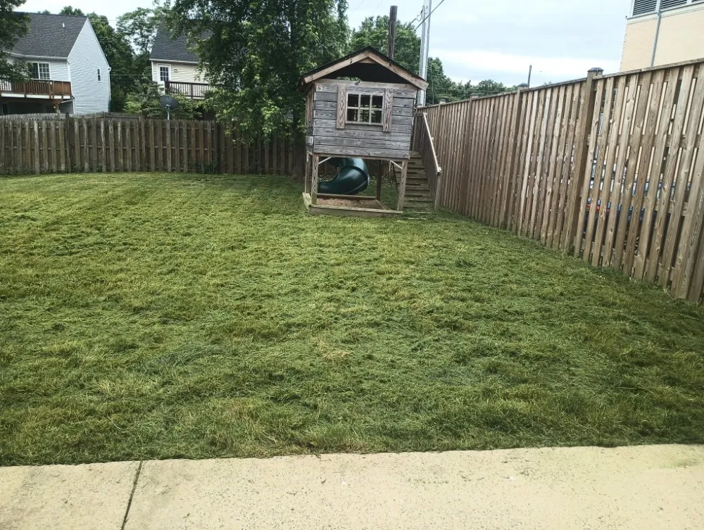 Top-rated yard cleanup service experts serving Brunswick, MD - H&S Landscape &Turf