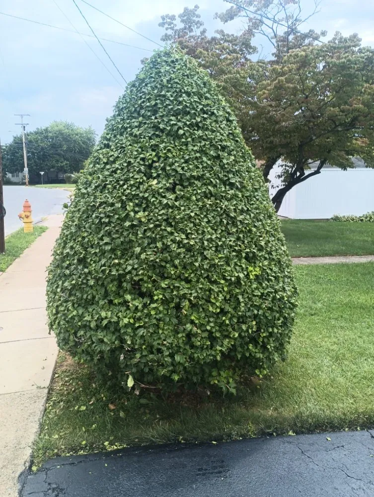 Top-rated landscape design experts serving Brunswick, MD - H&S Landscape &Turf