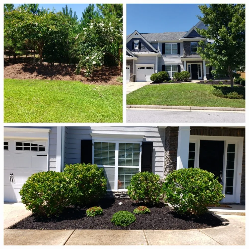 Top-rated yard maintenance experts serving Buchanan, GA - H&S Lawn Care