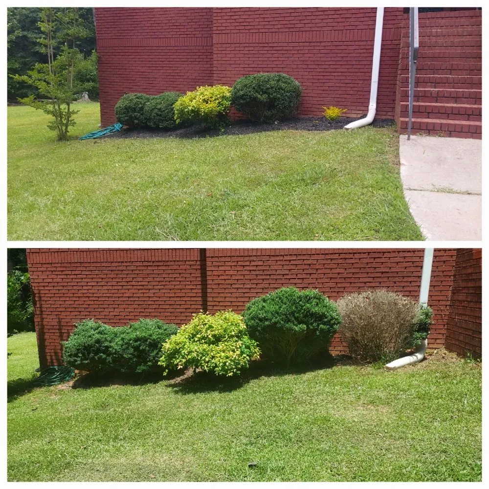 Trusted outdoor landscaping for outdoor upgrades across Buchanan, GA - H&S Lawn Care
