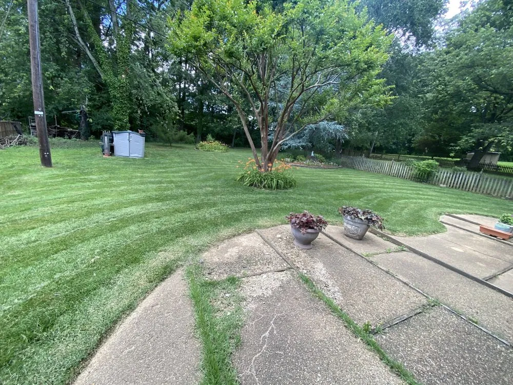 Trusted yard cleanup service in Rosedale, MD by H’s Lawn Care