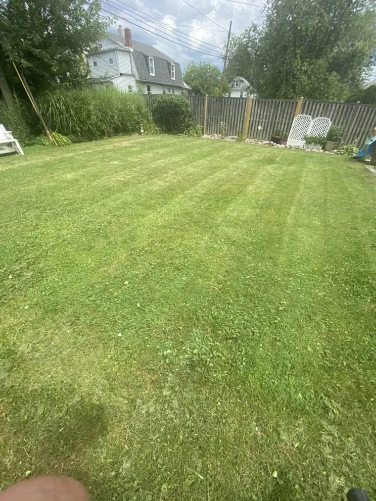 Reliable landscape design for year-round maintenance across Rosedale, MD - H’s Lawn Care