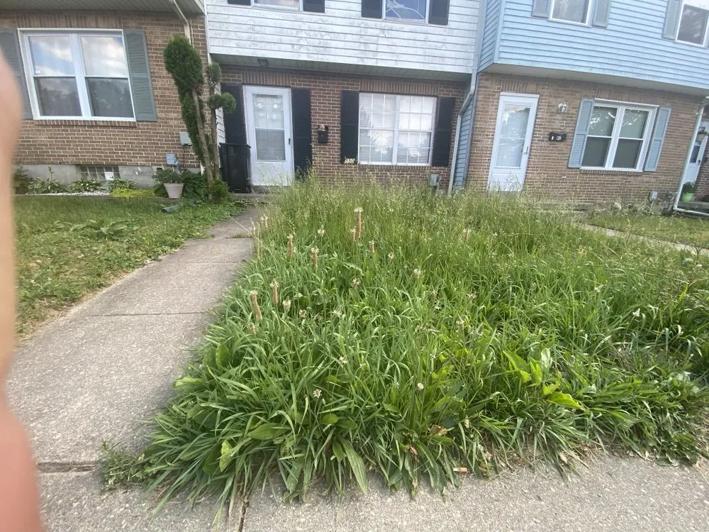 Reliable lawn care service experts serving Rosedale, MD - H’s Lawn Care