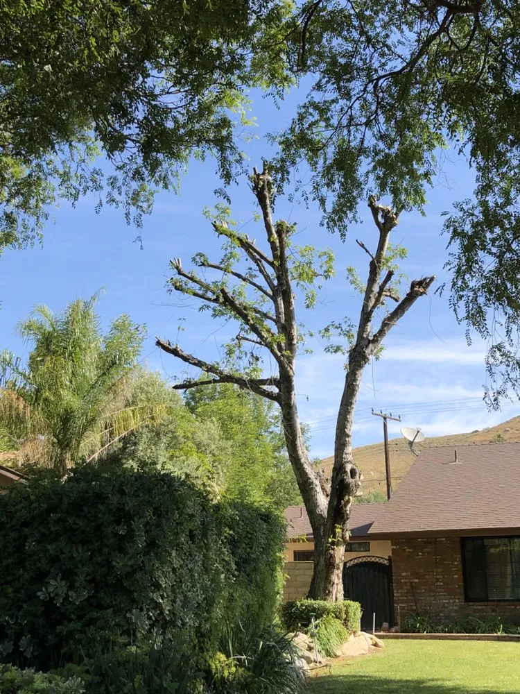 Local landscaping services experts serving Riverside, CA - HS Lawn Maintenance