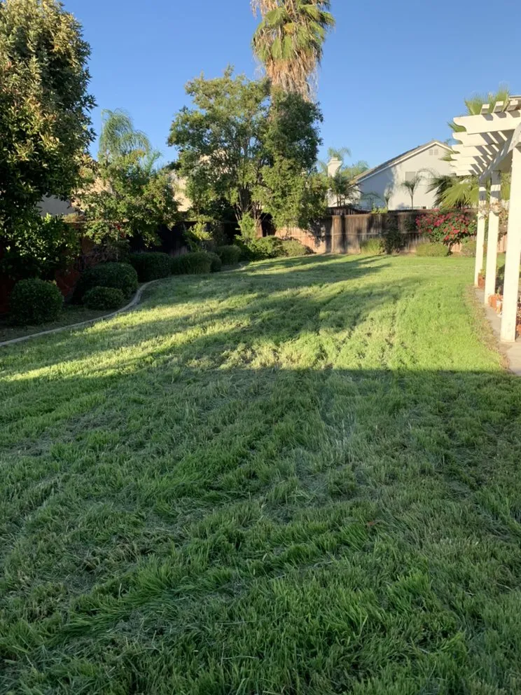 Reliable lawn mowing service experts serving Riverside, CA - HS Lawn Maintenance