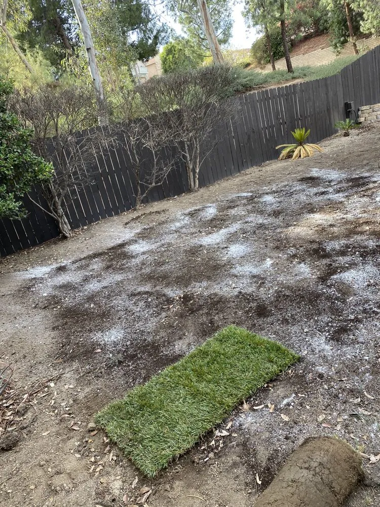 Custom yard cleanup service in Riverside, CA - HS Lawn Maintenance