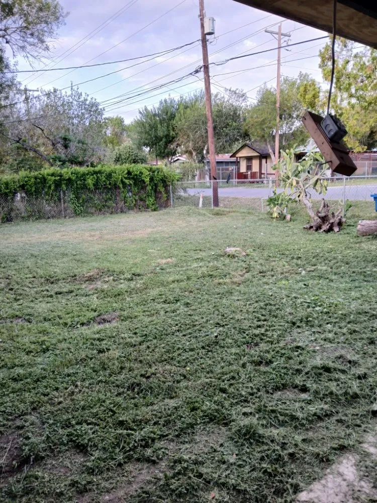 Top-rated residential landscaping in Brownsville, TX - H&S Maintenance