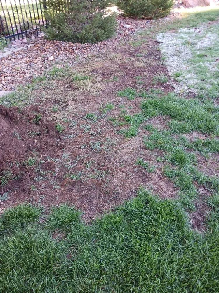 Trusted lawn mowing service experts serving Pueblo, CO - H&S Mowing and More