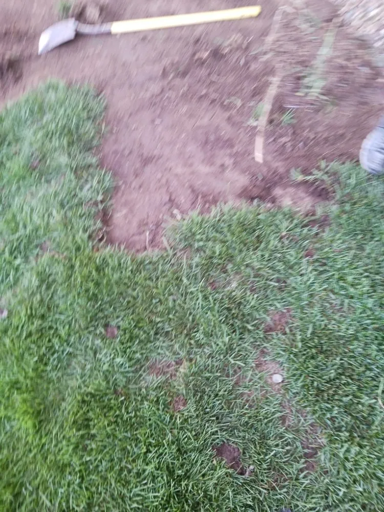 Professional lawn mowing service for residential properties across Pueblo, CO - H&S Mowing and More