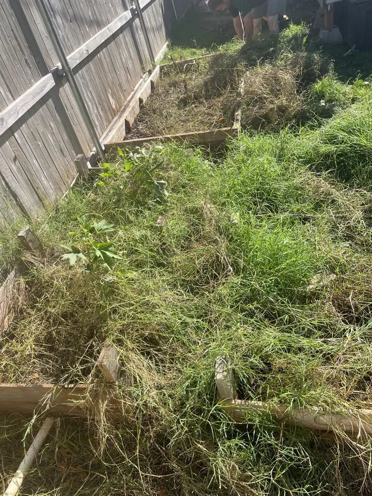 Expert yard maintenance experts serving Oklahoma City, OK - HS Pools and Installation