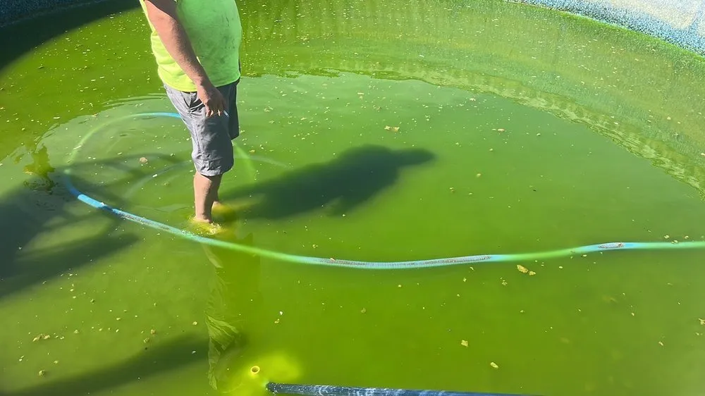 Top-rated yard cleanup service experts serving Oklahoma City, OK - HS Pools and Installation