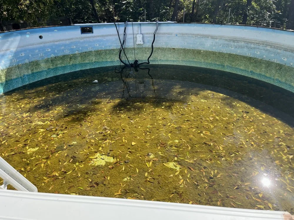 Reliable garden landscaping in Oklahoma City, OK by HS Pools and Installation