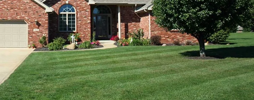 Top-rated yard cleanup service experts serving Robbinsdale, MN - H&S Professional Lawncare and Property Maintenance