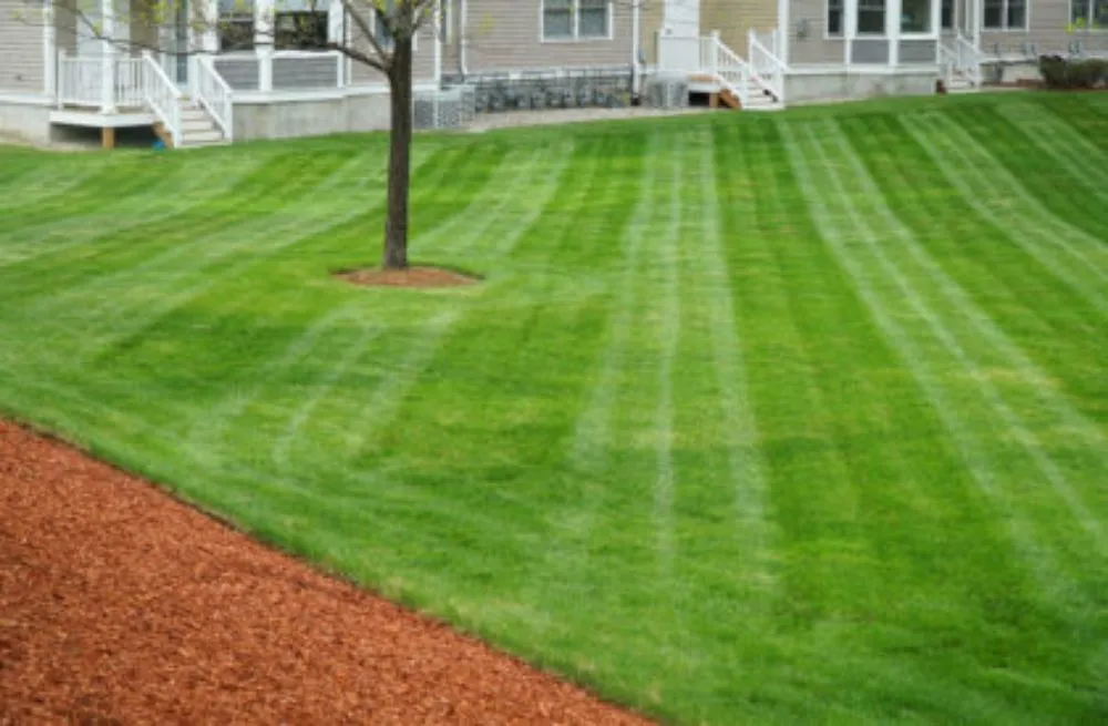 Local lawn mowing service for homes across Robbinsdale, MN - H&S Professional Lawncare and Property Maintenance