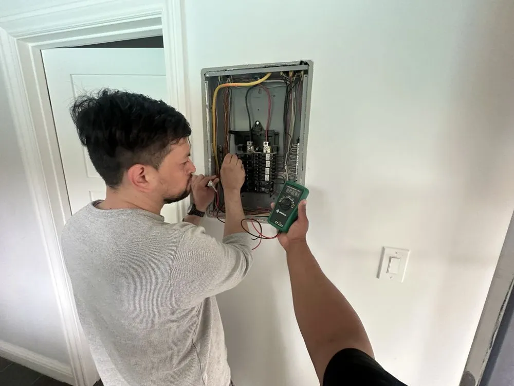 Reliable yard cleanup service in Redwood City, CA - HSDD Handyman & Electronics