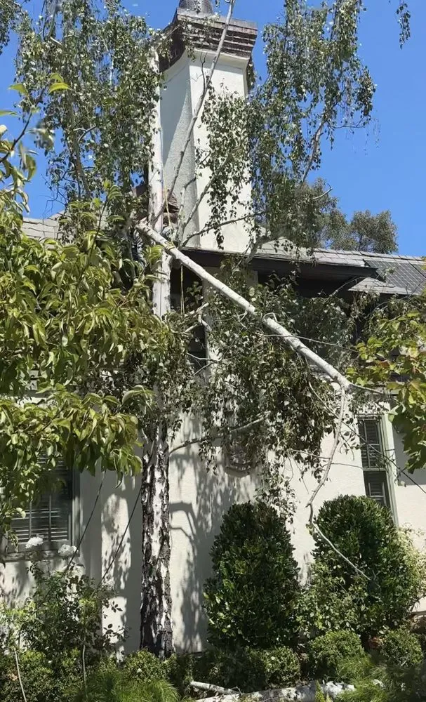 Trusted yard maintenance for outdoor upgrades across Redwood City, CA - HSDD Handyman & Electronics