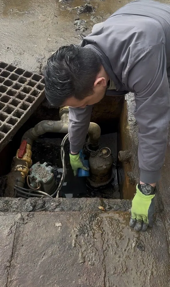 Local lawn care service in Redwood City, CA by HSDD Handyman & Electronics