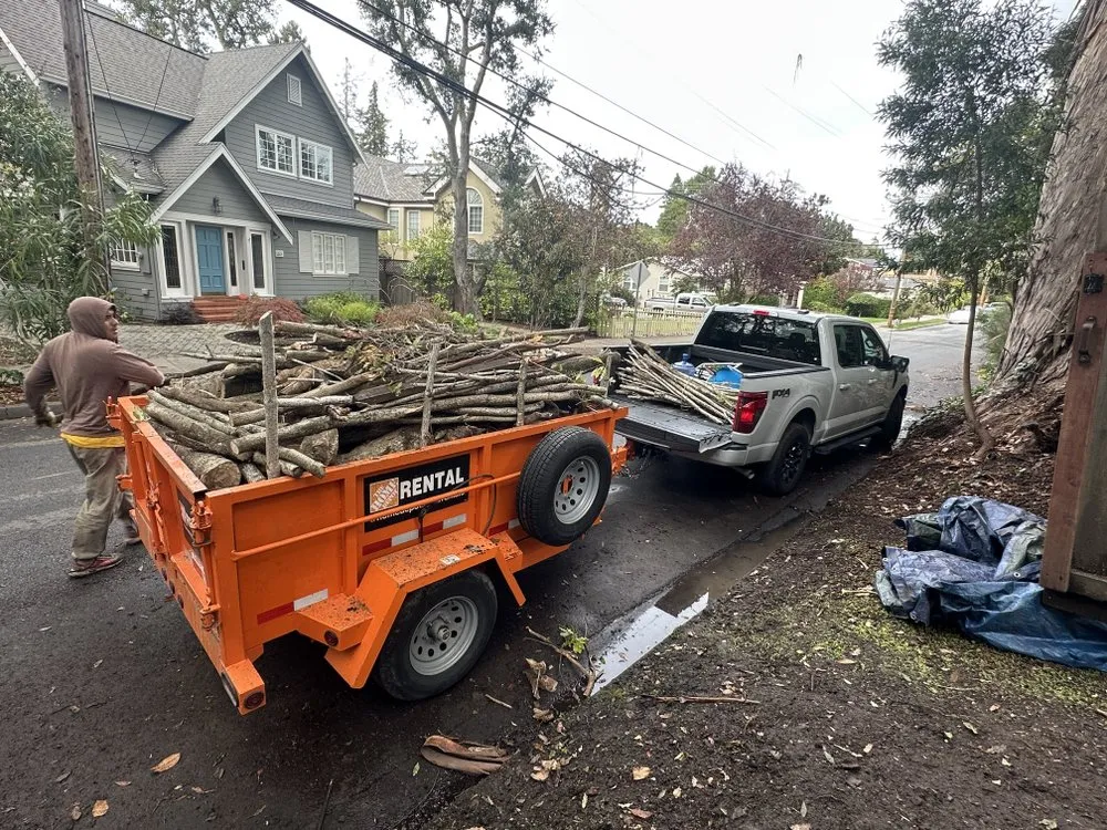 Reliable lawn care service in Redwood City, CA by HSDD Handyman & Electronics