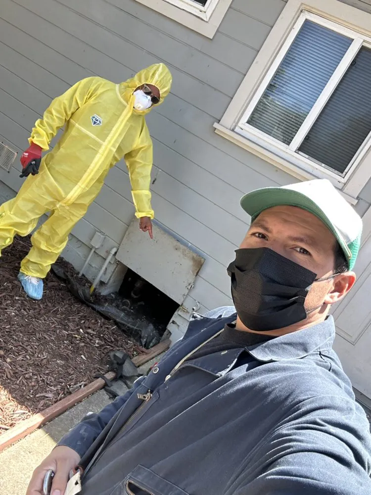 Top-rated landscaping services experts serving Redwood City, CA - HSDD Handyman & Electronics