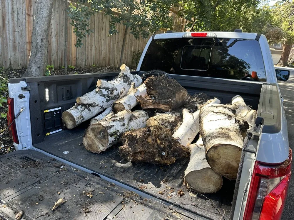 Trusted yard cleanup service near you in Redwood City, CA by HSDD Handyman & Electronics