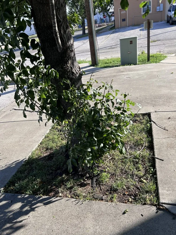 Reliable lawn care service in Gatesville, TX - HSH Landscaping