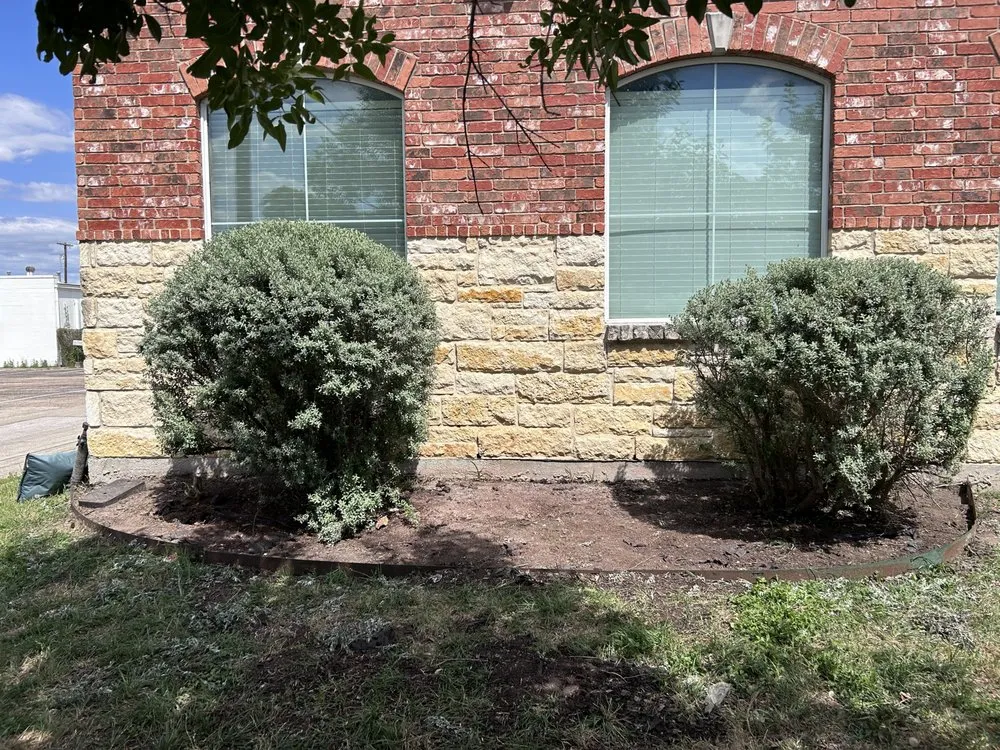 Trusted lawn care service for outdoor upgrades across Gatesville, TX - HSH Landscaping