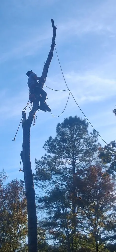 Reliable lawn care service near you across Hot Springs, AR - HSV Jeffreys