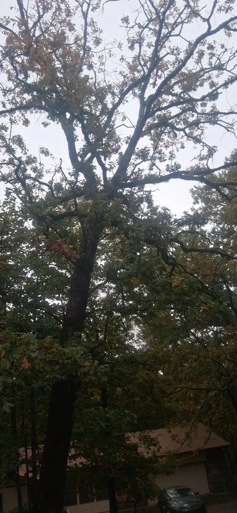 Trusted outdoor landscaping for year-round maintenance across Hot Springs, AR - HSV Jeffreys