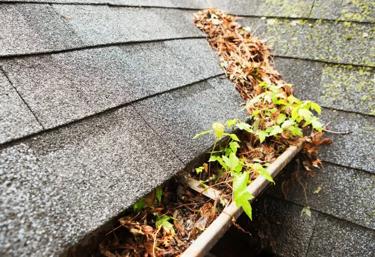 Expert residential landscaping for residential properties across Hot Springs, AR - HSV Jeffreys