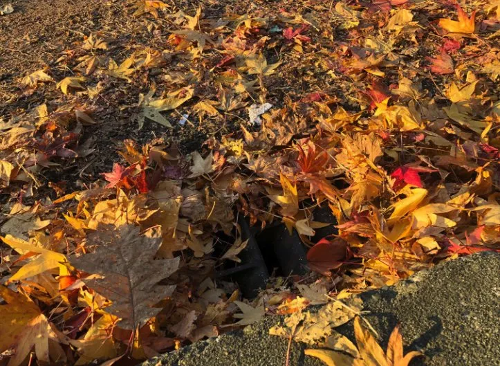 Custom outdoor landscaping for year-round maintenance in Hot Springs, AR by HSV Jeffreys