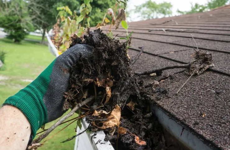 Top-rated yard cleanup service in Hot Springs, AR - HSV Jeffreys