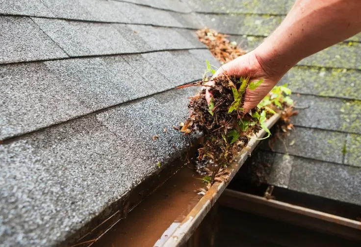 Custom outdoor landscaping in Hot Springs, AR by HSV Jeffreys