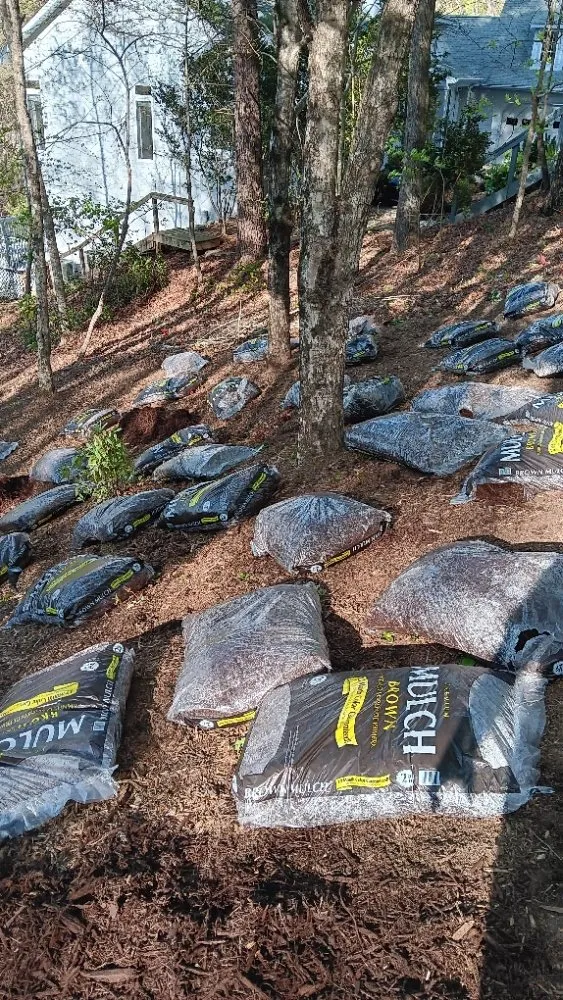 Top-rated outdoor landscaping experts serving Westminster, SC - H&T Landscaping And Construction